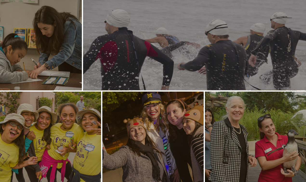 A collage of Net Savings And Loan  in the community
